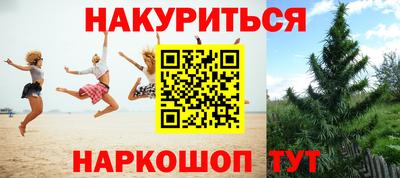 крисы Камышлов