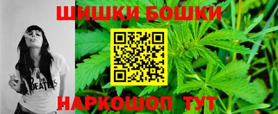 крисы Камышлов