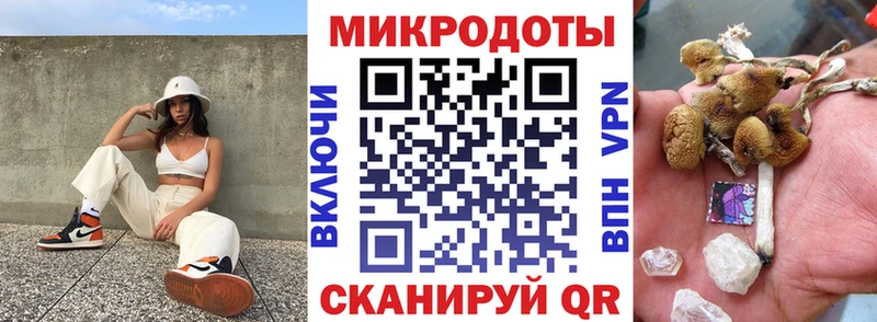 Псилоцибиновые грибы Psilocybe  гидра сайт  Калач-на-Дону  наркошоп 