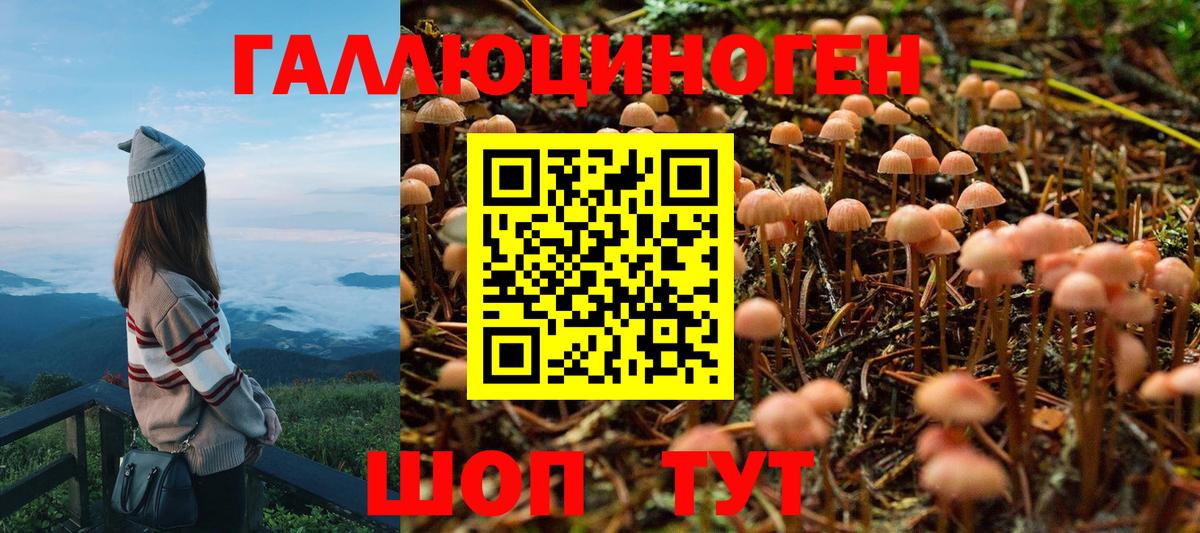 Псилоцибиновые грибы прущие грибы Калач-на-Дону