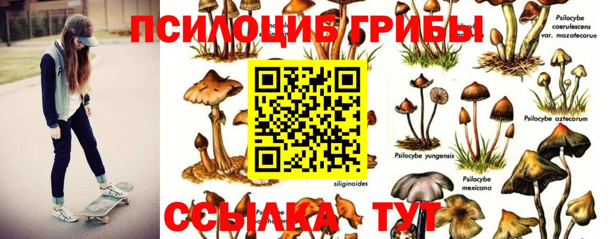 Галлюциногенные грибы Magic Shrooms  Вход с VPN  что такое наркотик  Галлюциногенные грибы Magic Shrooms  Калач-на-Дону 